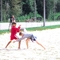 </p>
<p>                                В Тамбове состоялся Межрегиональный турнир по пляжному самбо среди мужчин</p>
<p>                        