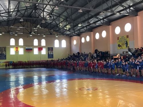 
<p>                                В Ржеве прошёл турнир, посвящённый Дню российского флага</p>
<p>                        