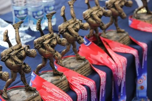 
<p>                                В Ульяновской области прошел II Международный фестиваль по борьбе самбо среди юношей и девушек до 15 лет</p>
<p>                        